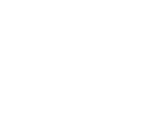 Honda P